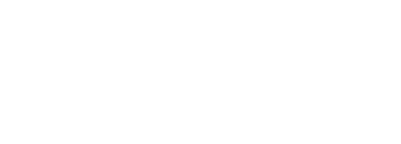 Big Fish Studios